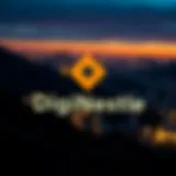DigiNestle logo showcasing its focus on cryptocurrency