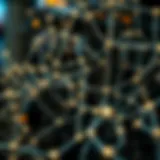 A conceptual illustration of cryptocurrency networks