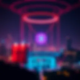 Visual representation of the Flare Network's architecture