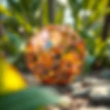 Geometric patterns reflecting nature