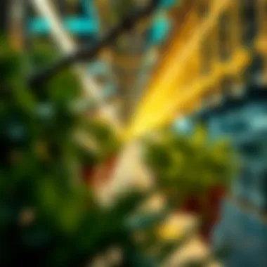 Real-world Use Cases of Hedera in Digital Assets Use cases of Hedera in digital assets