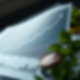 Graph showing investment growth over time