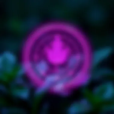 Infographic detailing investment strategies for Leaf Coin