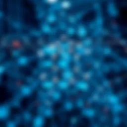 Conceptual representation of a meta-network architecture