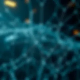 An intricate network symbolizing monetary policy