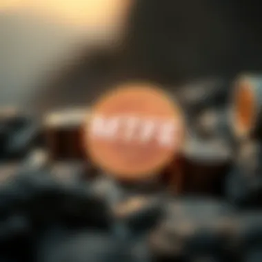 Conceptual representation of the Multi-Token Financial Ecosystem in cryptocurrency