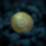 Overview of QNT cryptocurrency features