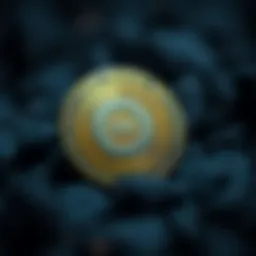 Overview of QNT cryptocurrency features