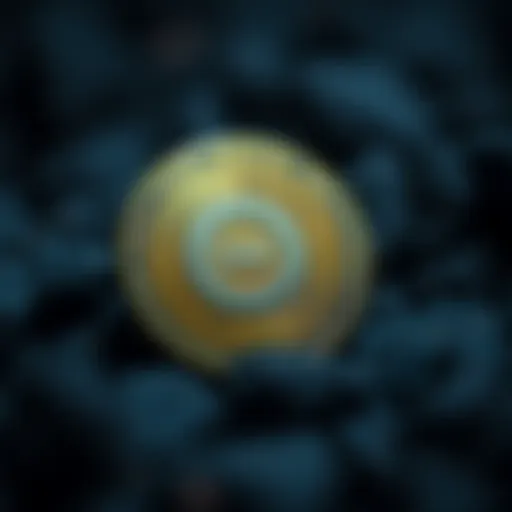 Overview of QNT cryptocurrency features