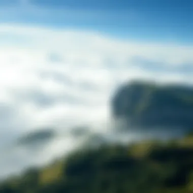 Investment opportunities and risks associated with Ripple