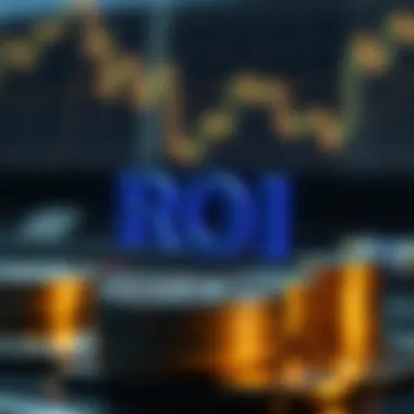 Conceptual representation of ROI calculation