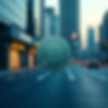 Future Prospects of SGB Coin