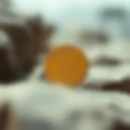 Overview of Solana's token distribution