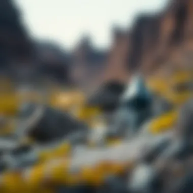 Comparison between Terra and Ethereum ecosystems