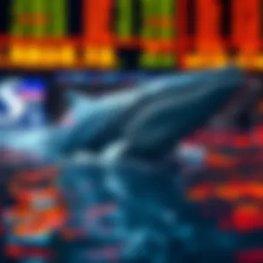 Liquidity Effects of Whale Activity The liquidity effects of whale activity in crypto markets