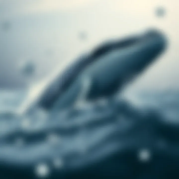 Impact of whales on cryptocurrency market volatility